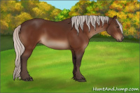Horse Color:Silver Brown 