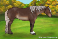 Horse Color:Silver Brown 
