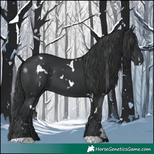 Horse Color:White Spotted Black