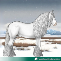 Horse Color:Liver Chestnut Mushroom Tobiano Snowflake Varnish Rabicano 
