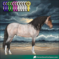 Horse Color:Bay Roan 