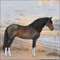 Horse Color:Brown 