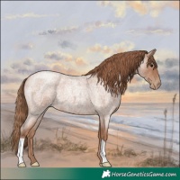 Horse Color:Blue Roan Pearl 