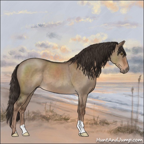 Horse Color:Liver Red Dun Roan 
