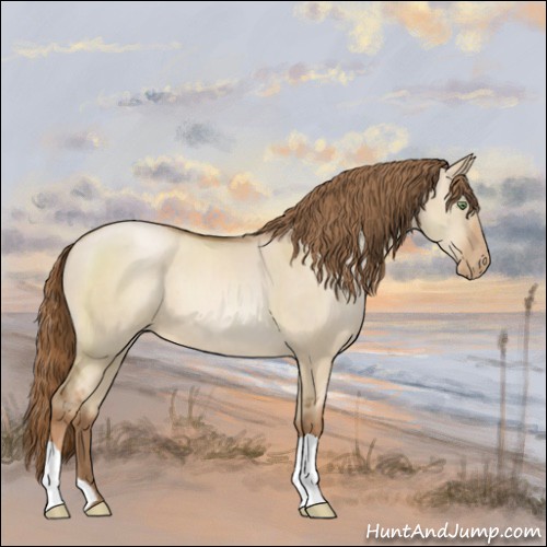 Horse Color:Liver Red Dun Pearl 
