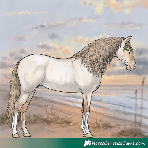 Horse Color:Liver Red Dun Roan Pearl 