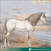 Horse Color:Liver Red Dun Roan Pearl 