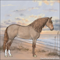 Horse Color:Liver Red Dun Roan 