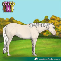 Horse Color:Silver Classic Cream Champagne Dun 