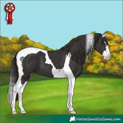 Horse Color:Smoky Black Splash Tobiano