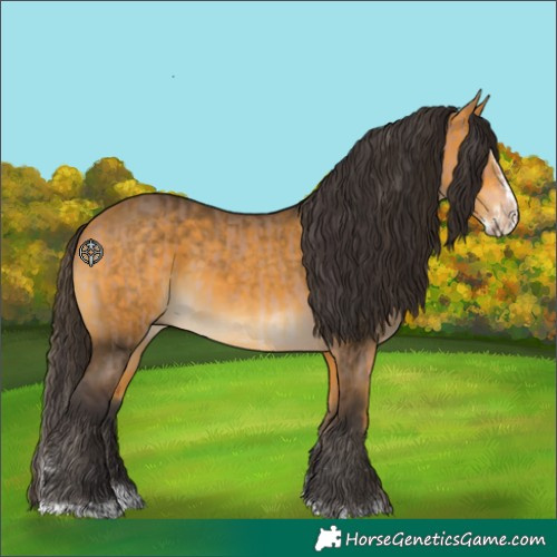 Horse Color:Bay Dun  and Buckskin Splash 