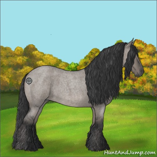 Horse Color:Grullo Roan 