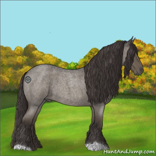 Horse Color:Smoky Blue Roan 