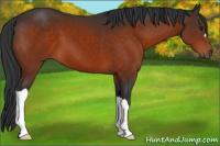 Horse Color:Brown 