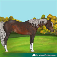 Horse Color:Silver Brown 