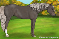 Horse Color:Silver Black 