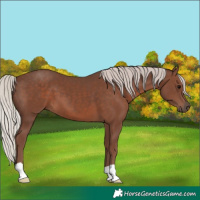 Horse Color:Silver Black 