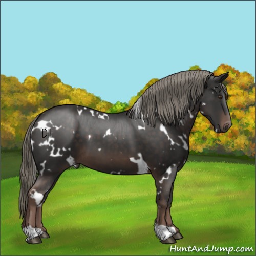 Horse Color:White Spotted Liver Chestnut Mushroom 