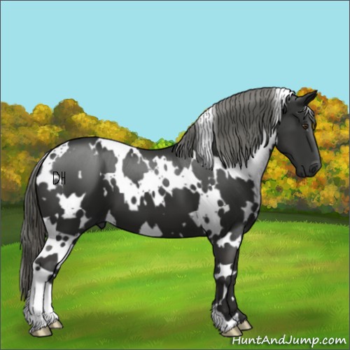 Horse Color:White Spotted Liver Chestnut Mushroom 