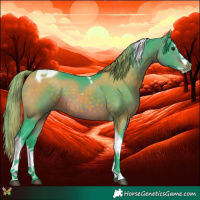 Horse Color:Watercolor Brown Splash Tobiano 