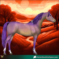 Horse Color:Watercolor Brown Tobiano 
