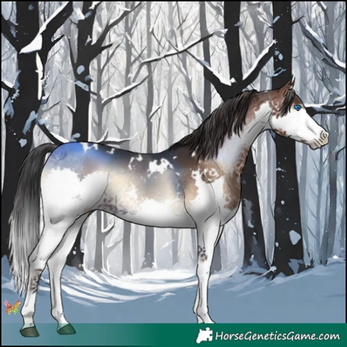Horse Color:White Spotted Brown Onyx Splash 