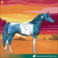 Horse Color:Watercolor Brown Tobiano 