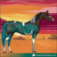 Horse Color:Brown Tobiano 