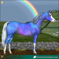 Horse Color:Watercolor Silver Brown Splash