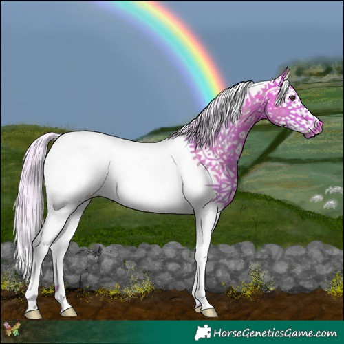Horse Color:Watercolor Silver Buckskin Splash Tobiano 