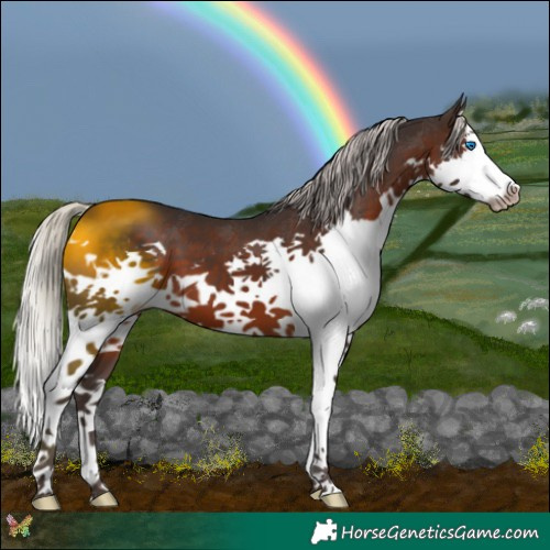 Horse Color:Silver Brown Splash 