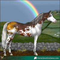 Horse Color:Silver Brown Splash