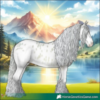 Horse Color:Watercolor Gold Cream Champagne Pearl Splash Appaloosa 