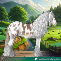 Horse Color:Liver Red Dun Tobiano Appaloosa 