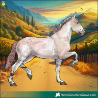 Horse Color:White Spotted Liver Red Dun 