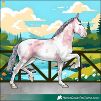 Horse Color:Painted Watercolor Grullo Sabino Splash Tobiano