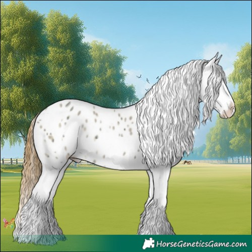 Horse Color:Gold Champagne Ice Dun Appaloosa 