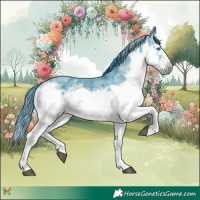 Horse Color:Watercolor Black Sabino Splash Frame 