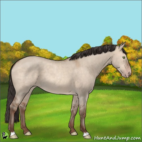 Horse Color:Sable Champagne Dun Rabicano