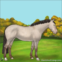 Horse Color:Sable Champagne Dun Rabicano