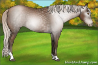Horse Color:Gray Silver Black Pearl Tobiano