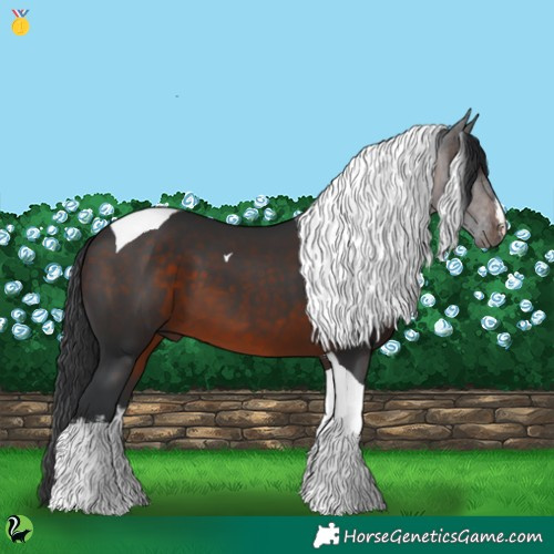 Horse Color:White Spotted Brown Tobiano 