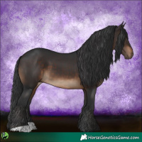 Horse Color:Brown 