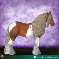 Horse Color:Chestnut Tobiano 