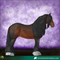 Horse Color:Brown 