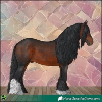 Horse Color:Brown Tobiano