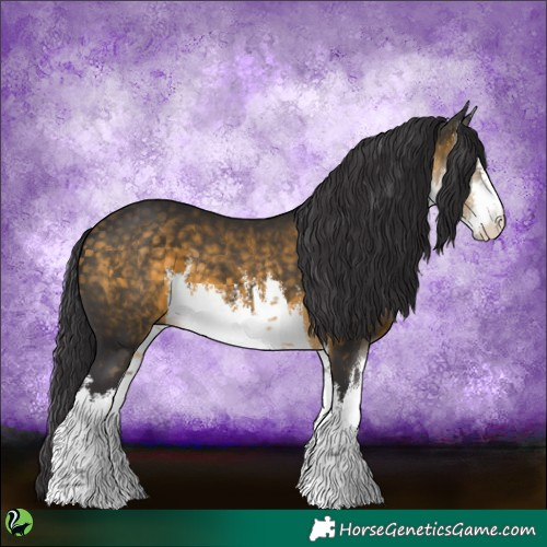 Horse Color:White Spotted Buckskin