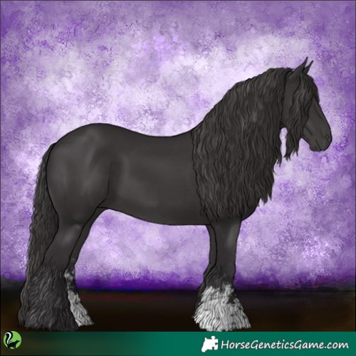 Horse Color:Smoky Black Sabino
