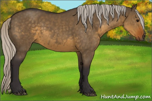 Horse Color:Silver Smoky Grullo Rabicano