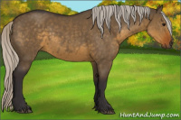 Horse Color:Silver Smoky Grullo Rabicano